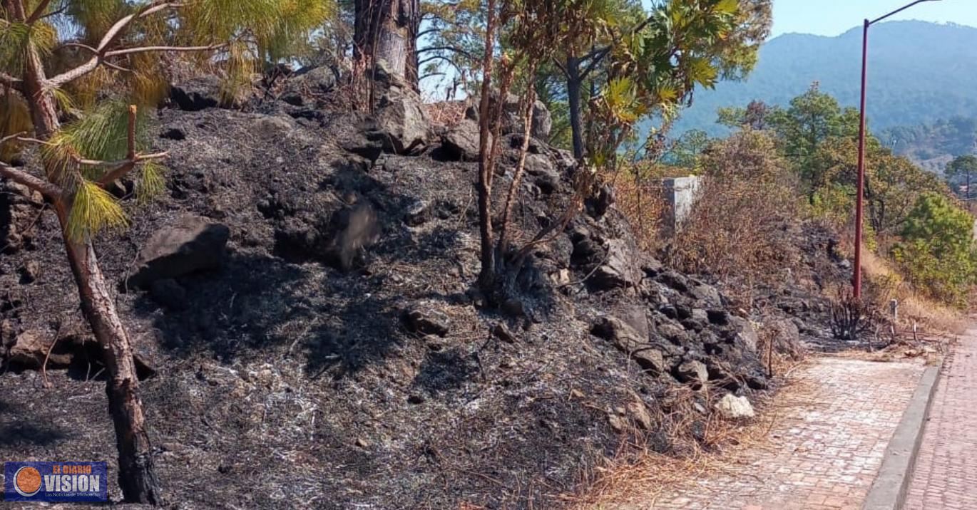 Incendio en el cerro del Zapién afectó 1.72 hectáreas