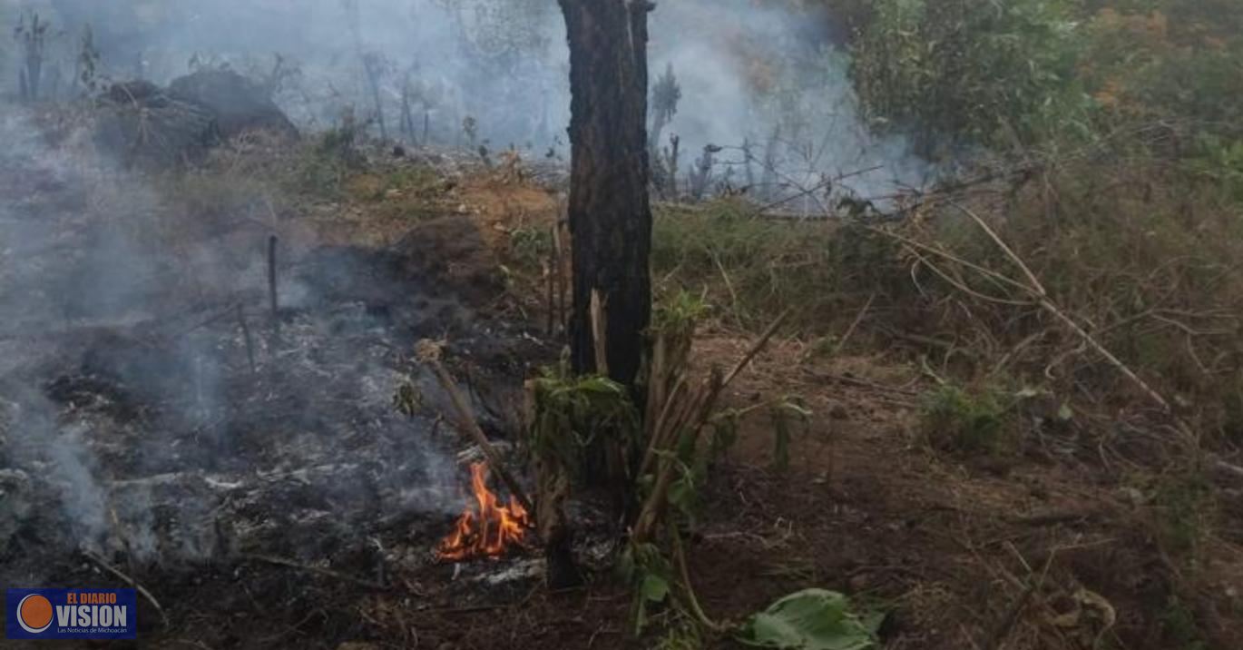 Brigada municipal Delfines atiende conato de incendio en La Quinta