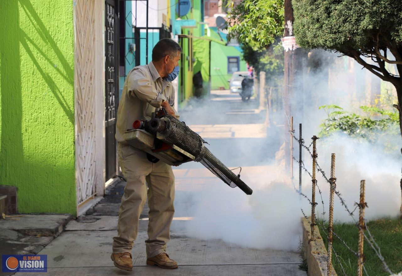Michoacán sin registro de defunciones por dengue