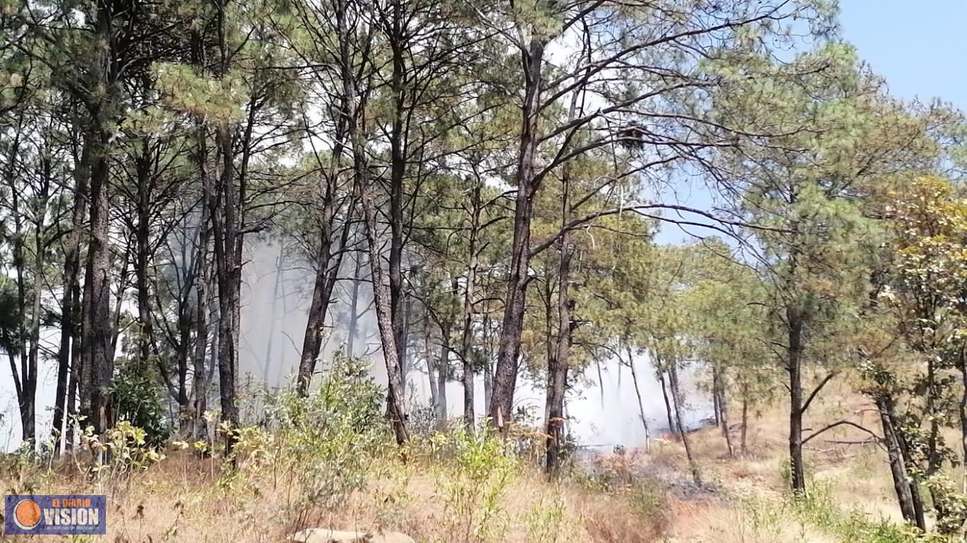 Incendio en el Cerro de La Cruz 