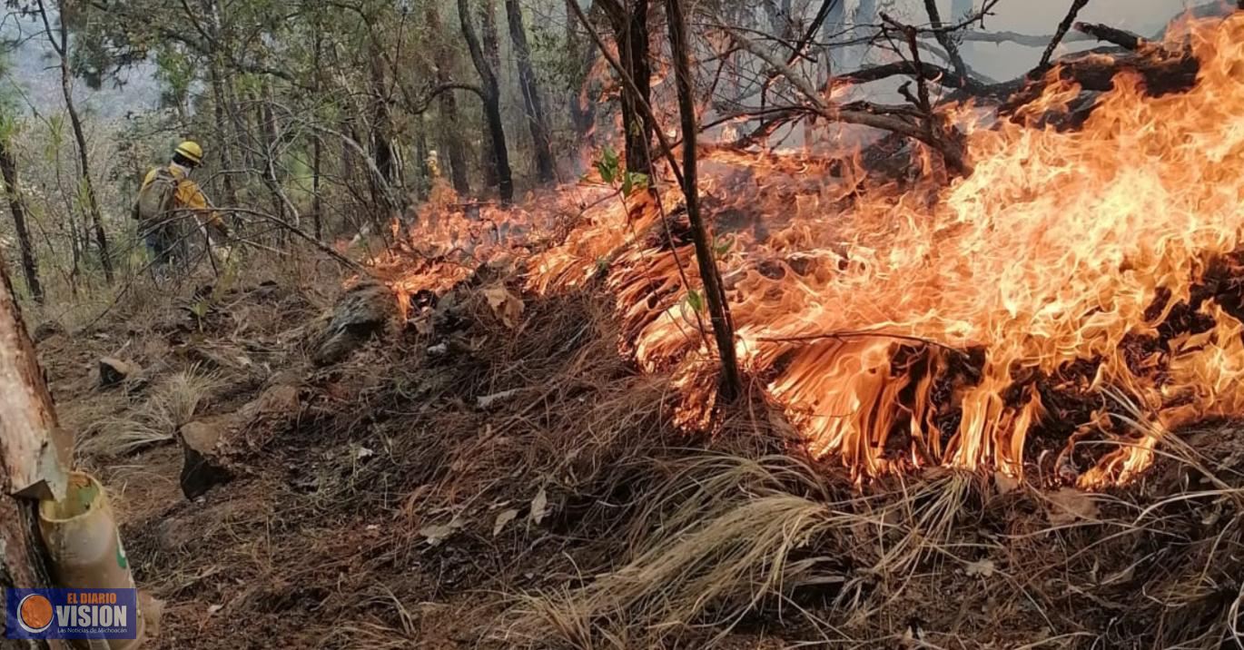 Incendio forestal azota el cerro de Las Tecatas