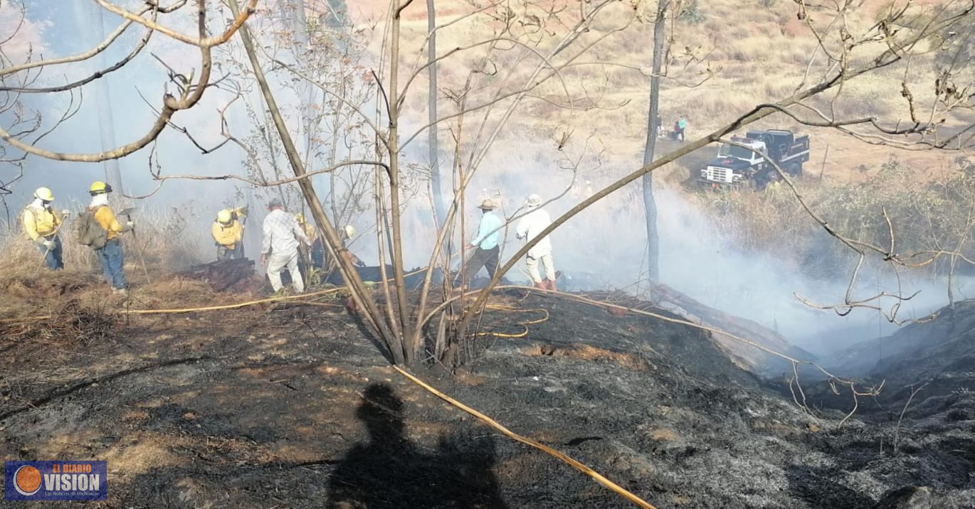 Brigadistas sofocan incendio de pastizal en el cerro de Jicalán