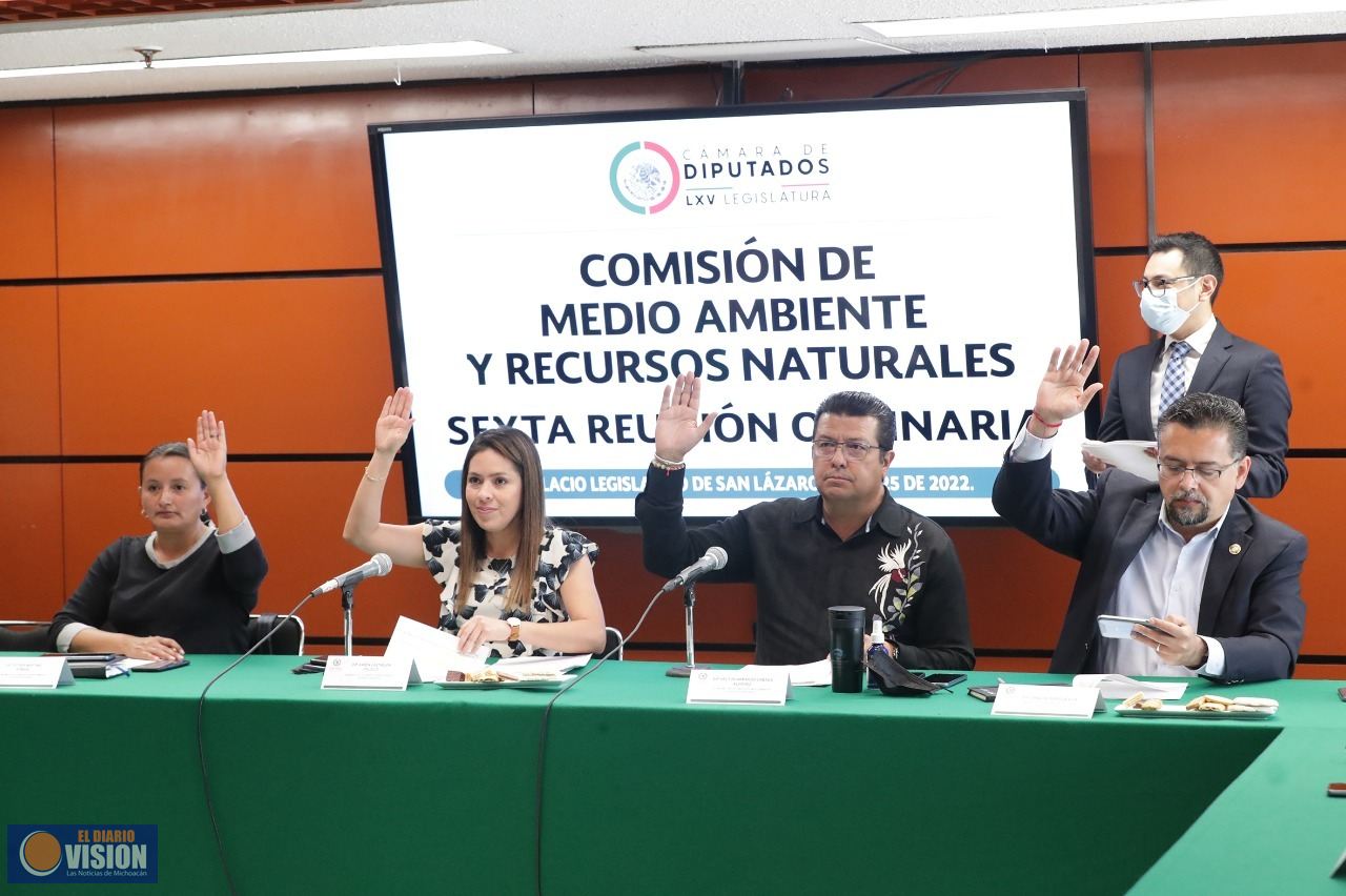 Aprueba en Comisión dictamen que reforma Ley General de Vida Silvestre sobre protección de mascotas