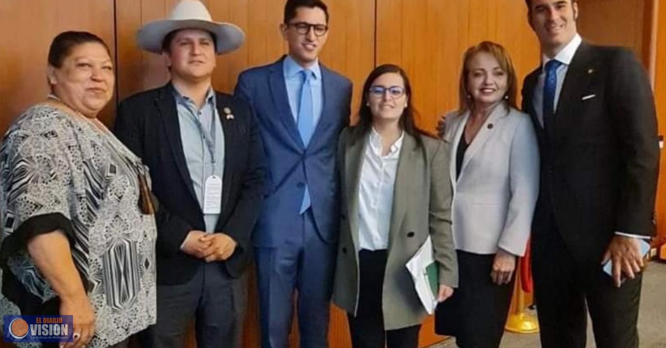 María Elena serrano, asistió al reporte del grupo  Centro y Norte América sobre migración