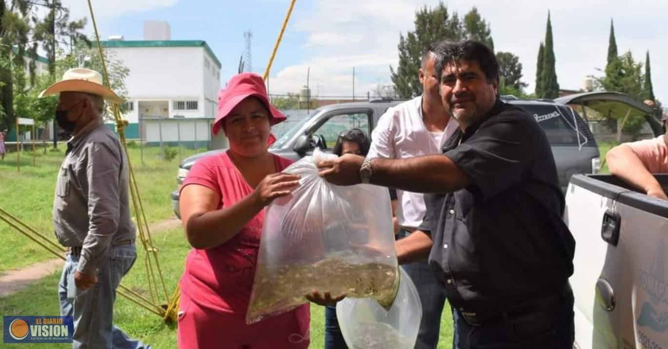Gobierno de Maravatío entregó 100 mil crías de peces para distribuirlas en presas y bordos.