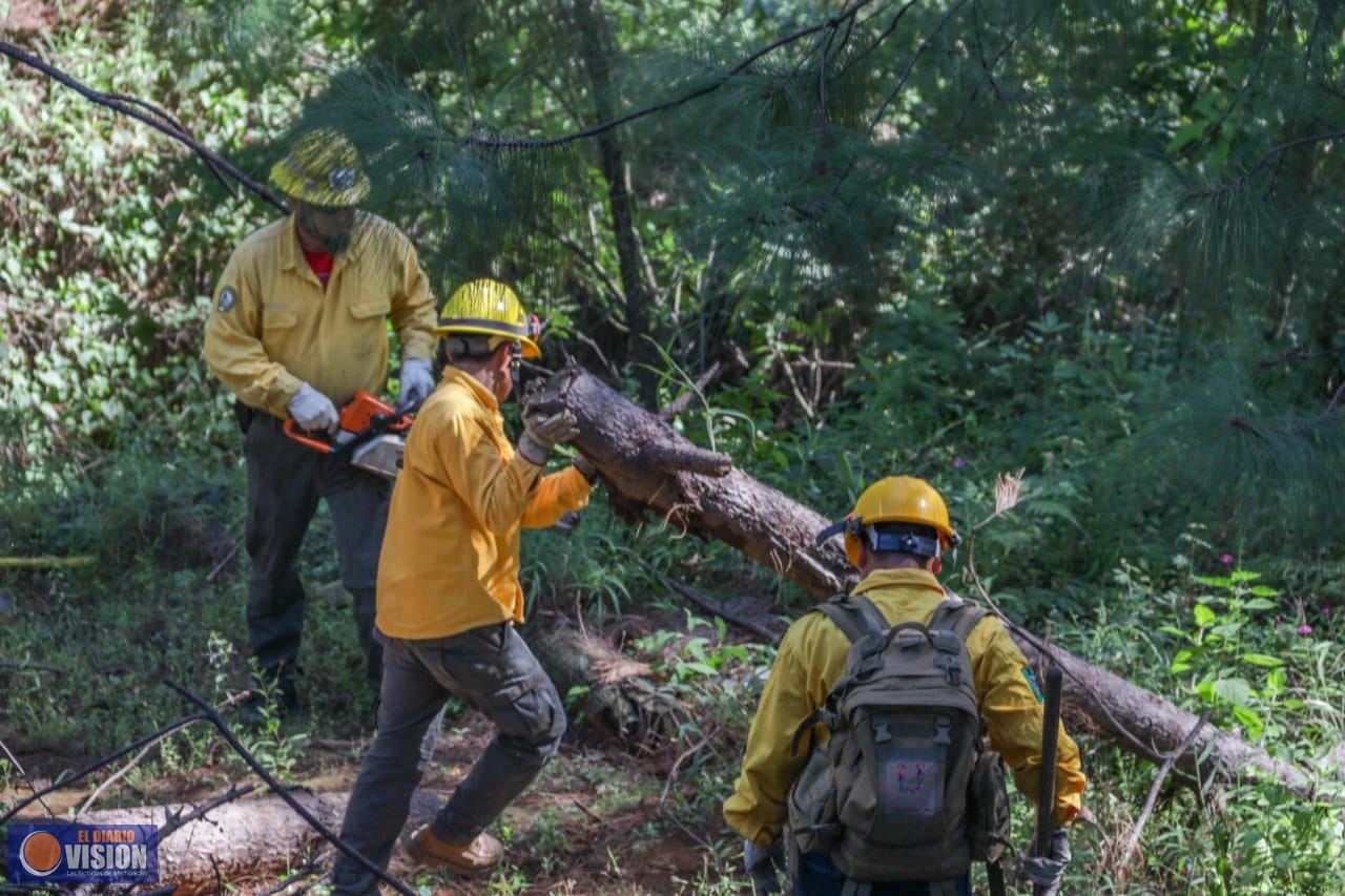 Inicia Gobierno Municipal trabajos de control y manejo de fuego 2023-2024