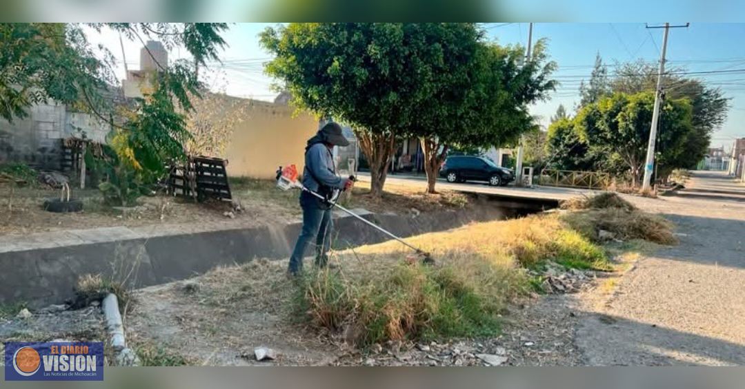 Impulsa Eric Gaona García acciones de limpieza y podas en comunidades de Tarímbaro