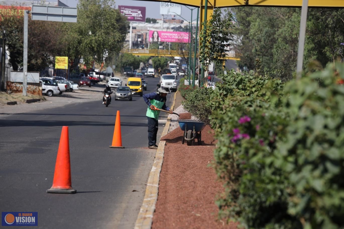 Gobierno de Morelia sigue embelleciendo las áreas verdes de la ciudad