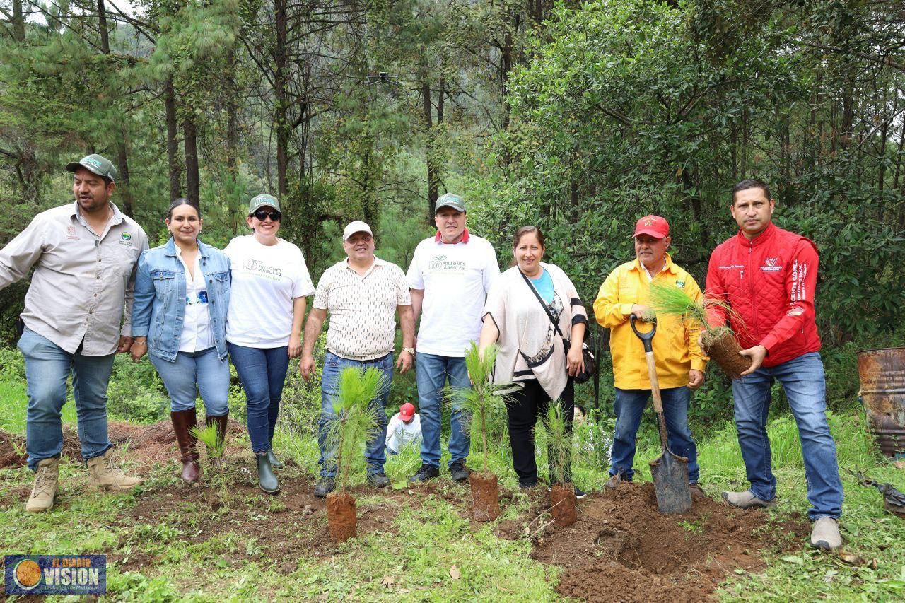 Participa Vicente Gómez en arranque de reforestación 2025 en Tacámbaro