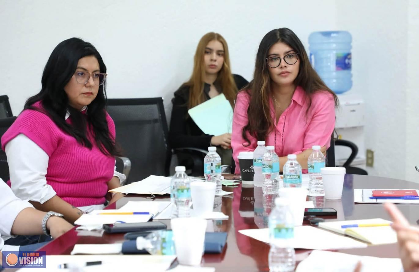 Selene González, Presidenta Provisional del IEM, realizan reunión de trabajo con partidos