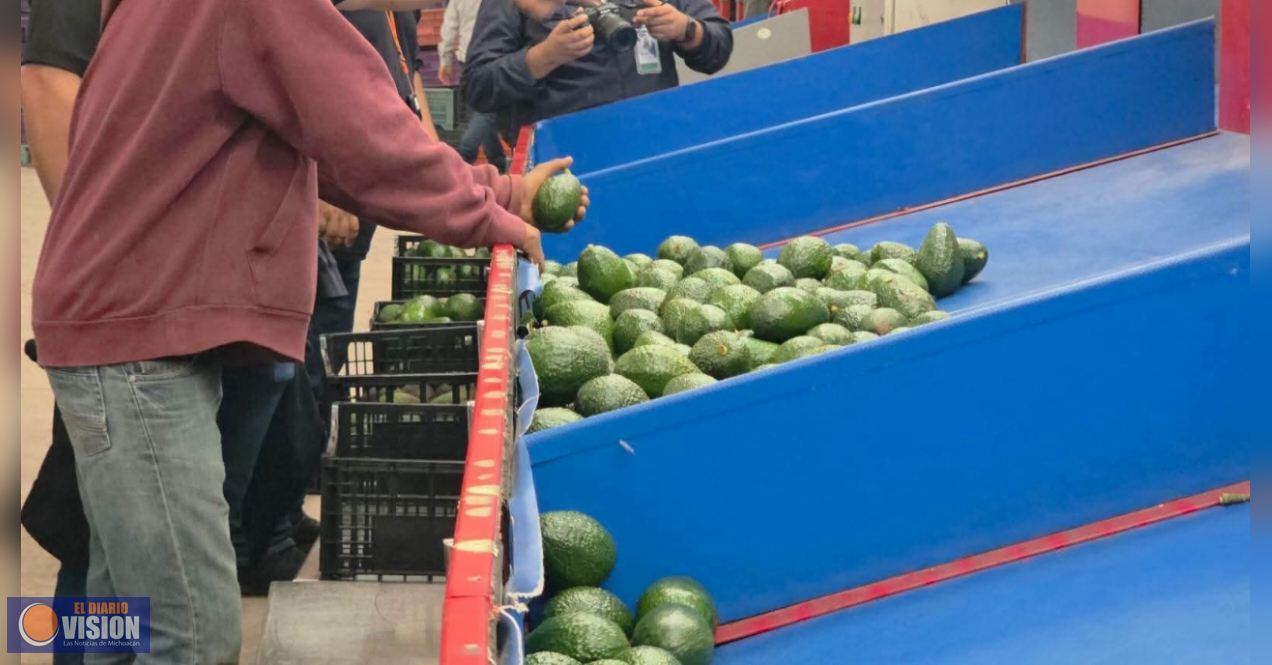 Cimbra economía de Michoacán, reciente suspensión temporal
