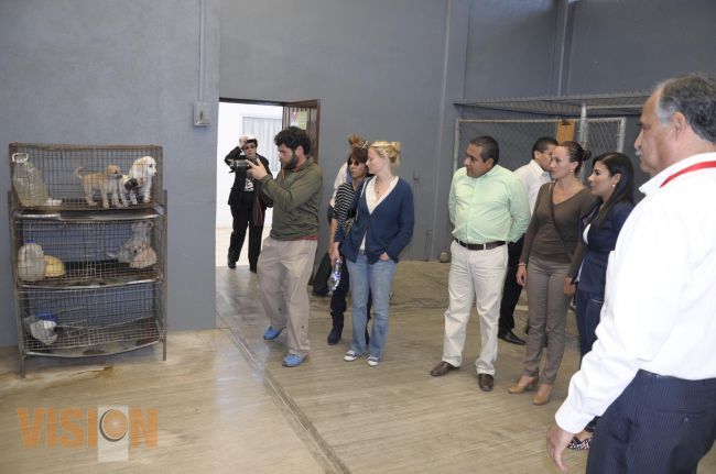 Ayuntamiento y Asociaciones unen esfuerzos por una nueva cultura de protección a las mascotas