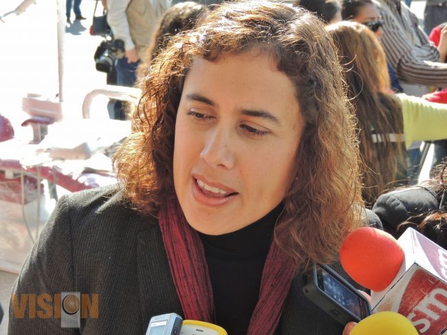 En Michoacán hay 76 Mil Personas desempleados: Mariana Gudiño.