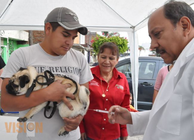 Arrancó semana nacional 2013 de vacunación antirrábica en Uruapan