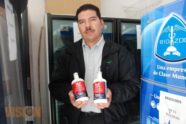 Comienza vacunación para aves de granjas michoacanas 