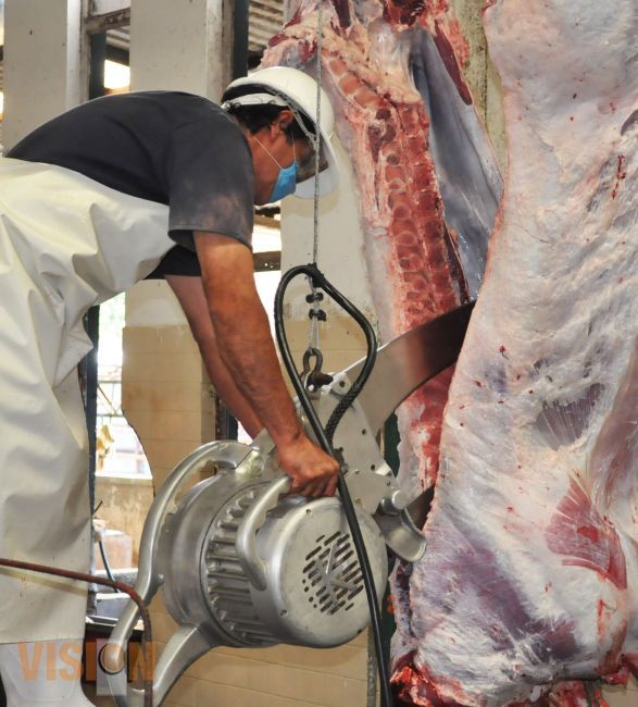 Unifican criterios para garantizar carne sana y de buena calidad a la población