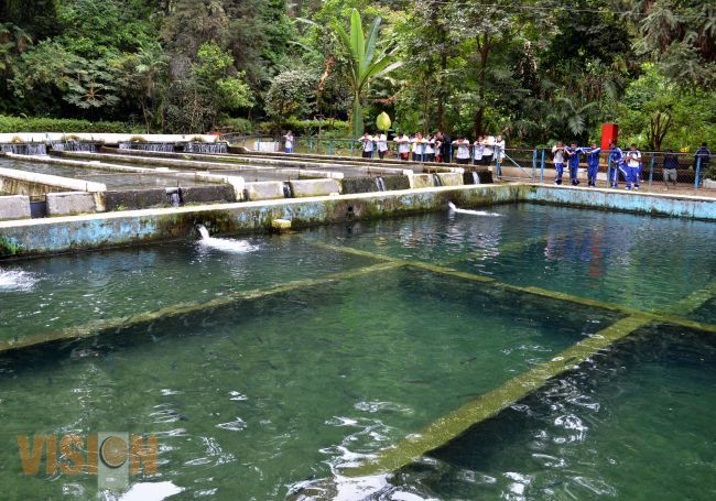 En esta cuaresma, venta de  trucha en el Parque Nacional