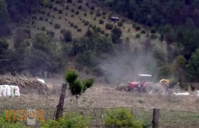 Inicia mañana feria del  aguacate en Tancítaro