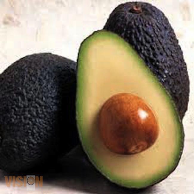 Podrían lograr cifra record en exportación de aguacate 