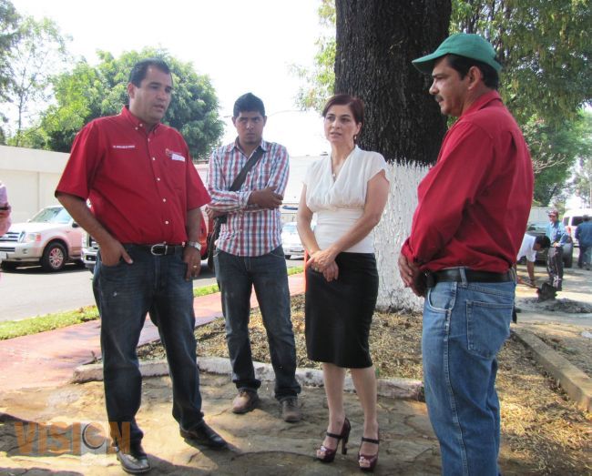 Ana Luisa Cervantes constató embellecimiento del camellón de avenida chiapas