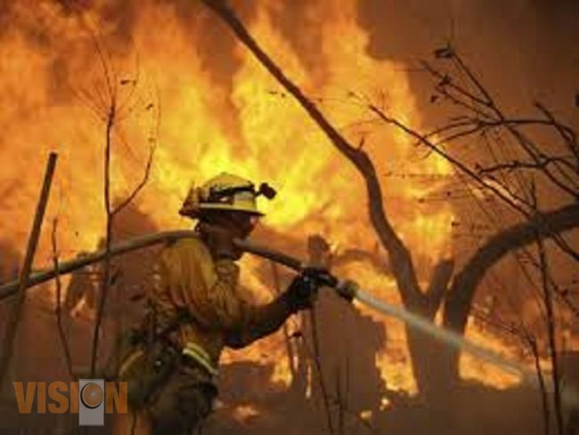 Casi tres mil hectáreas  devastadas por incendios