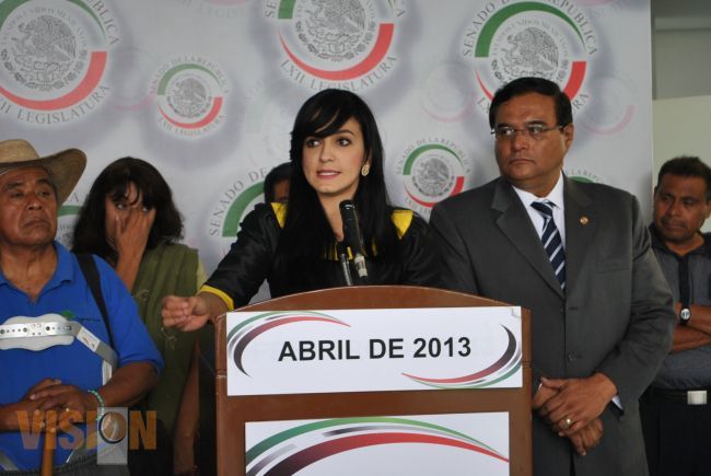 La Senadora michoacana Iris Mendoza presenta Iniciativa de Nueva Ley Minera
