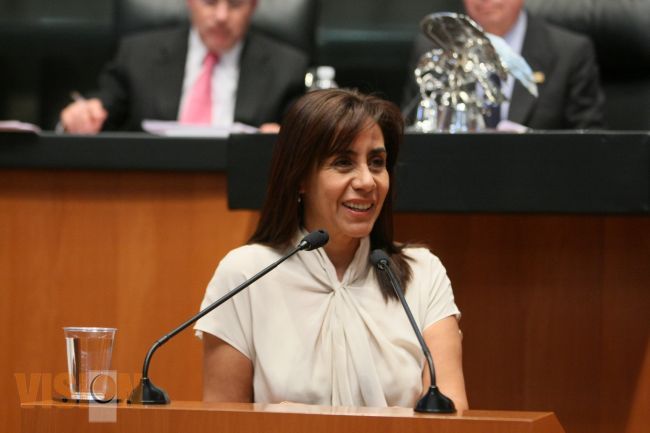 Michoacán necesita gobernabilidad democrática y no debilitamiento institucional: Cocoa Calder