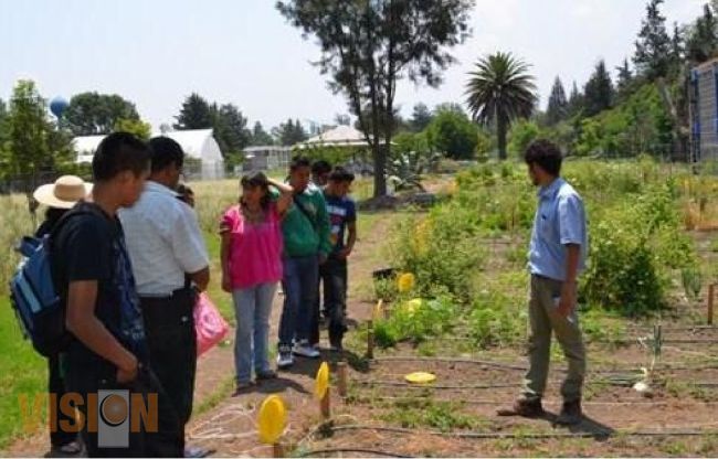 Alumnos de la UIIM, realizan viaje de estudios, a la Universidad Autónoma Chapingo.