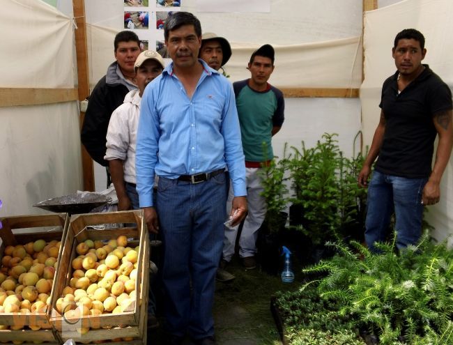 Reducción del 60% de agua  de manantiales, en Uruapan