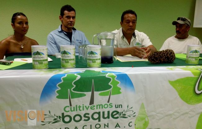 80% del cerro de Jicalán,  devastado; urge reforestar