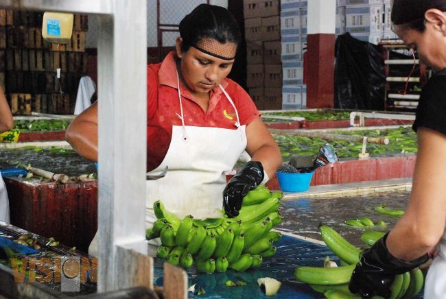 Michoacán tiene uno de los sectores más productivos de México