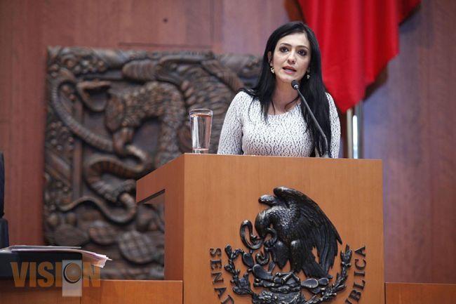 Propone Senadora Iris Mendoza suspensión de los derechos y prerrogativas a deudores de pensiones