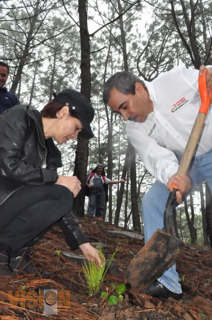 INTENSIFICAN PREPARATIVOS PARA CAMPAÑA DE REFORESTACIÓN 2013