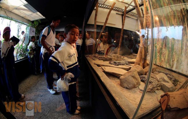 Visita al zoológico, una experiencia que fortalece los conocimientos entre los niños: SEE