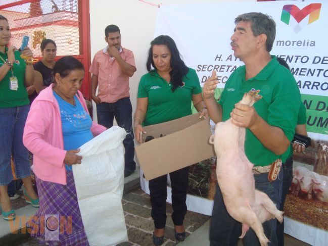 Arranca programa de rescate a huertos y granjas de traspatio 