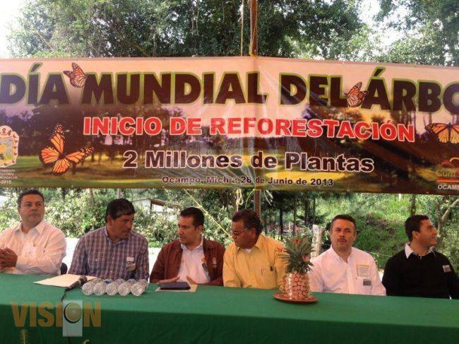 Plantarán 2 millones de árboles en el País de la Monarca.
