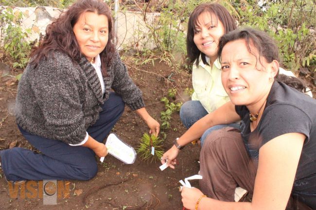 Dan seguimiento a reforestación de la Unidad Deportiva el Capulín