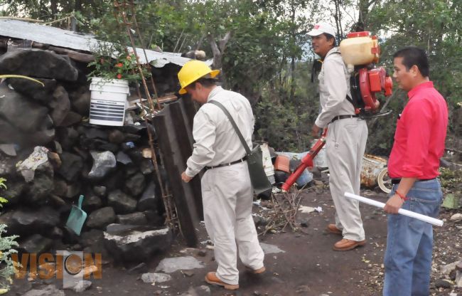 Combaten plagas nocivas para la salud pública