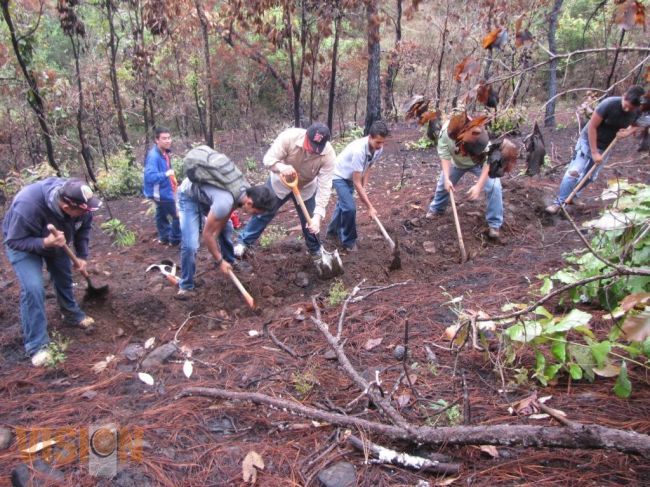 Proyecto ambiental de Conalep logra reconocimiento internacional