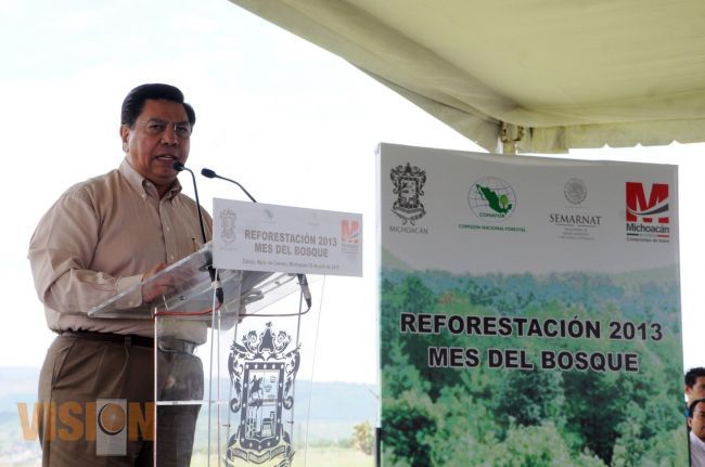 Arranca Gobierno Estatal y Federal programa de restauración y reforestación en el estado