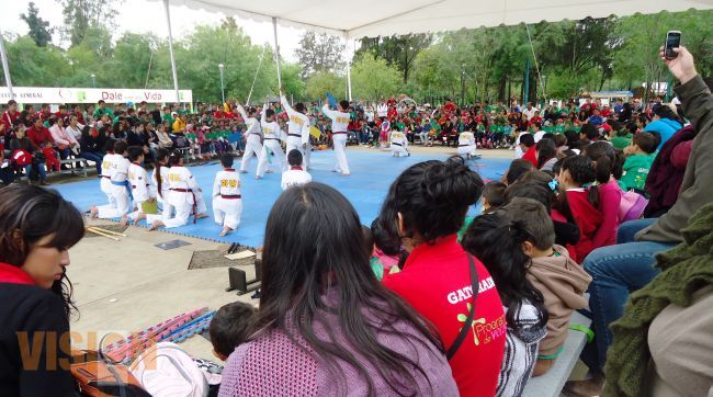 Un éxito, primera exhibición de Tae Kwon Do en el curso de verano del IMDE.