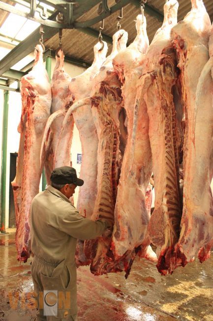 Expedirán certificados de sanidad a carnicerías en Uruapan