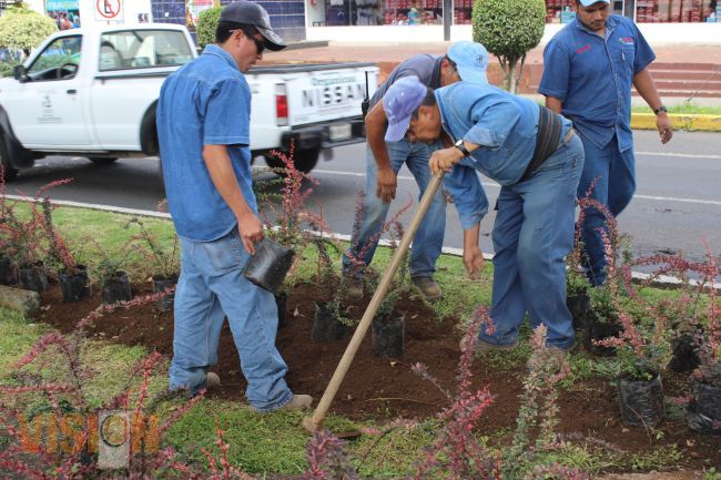 Remozan áreas verdes del Paseo Lázaro Cárdenas