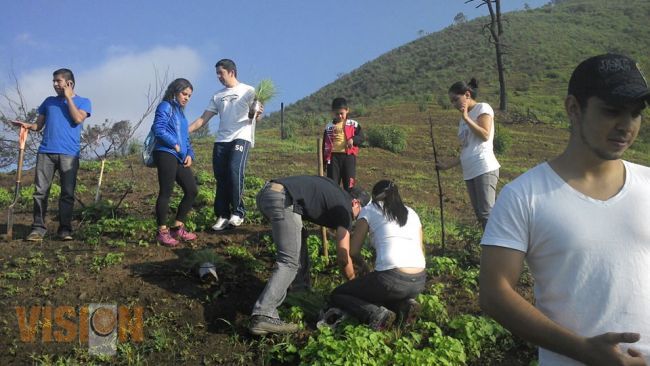 Jóvenes Hacen Reforestación en el Cerro de Jicalán