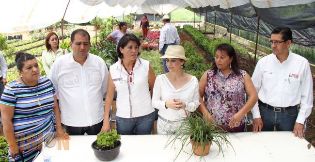 Reactivaron vivero municipal de plantas de ornato de Uruapan