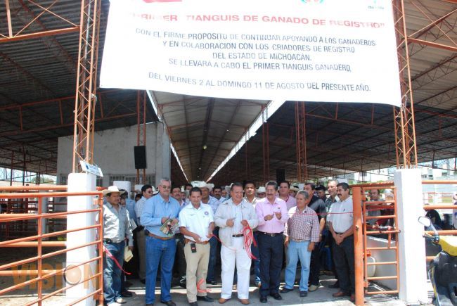 Michoacán, dentro de los diez estados más importantes en la producción de ganado bovino en México