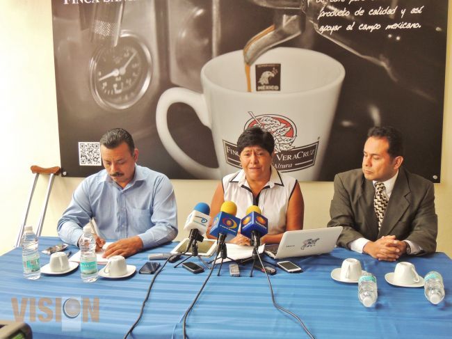 Comité Municipal del PRD pide revocar contrato de estacionamiento de Antigua Central.