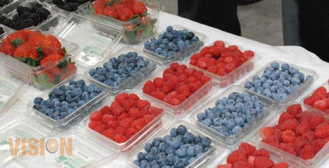 Michoacán se consolida como el Productor Número Uno de frutillas de México.