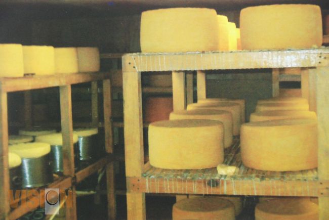 Queso Cotija artesanal madurado busca Norma Mexicana.