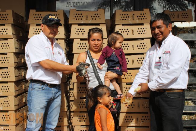 Se propicia el desarrollo integral de la zona rural de Uruapan